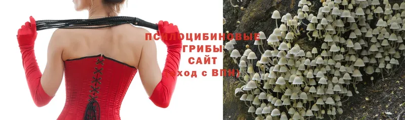 Галлюциногенные грибы MAGIC MUSHROOMS Зарайск